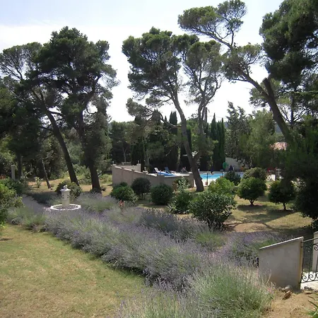 Chateau Borie Neuve Badens