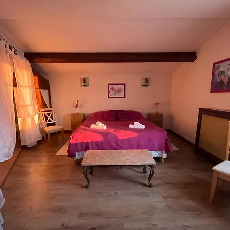 Chateau Borie Neuve Guest house Badens
