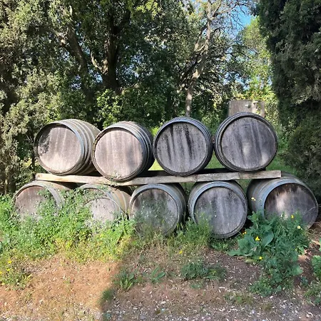 Chateau Borie Neuve Badens