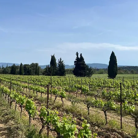 Chateau Borie Neuve Guest house Badens